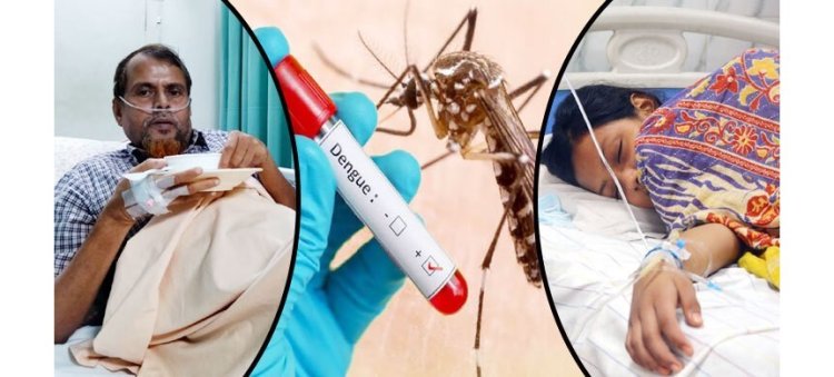 ডেঙ্গু জ্বর নিয়ন্ত্রণের ঘরোয়া ৫ উপায় জেনে রাখুন