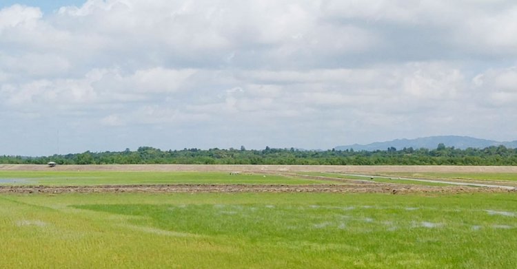  টেকনাফ সীমান্তে থেমে থেমে গুলির শব্দ