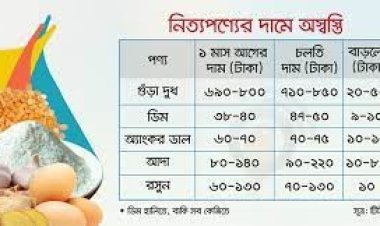 দুধ-ডিম-আদাসহ নিত্যপণ্যে অস্বস্তি