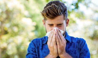 অ্যালার্জি কেন হয়, কীভাবে এড়ানো যায় 