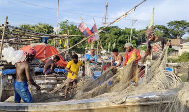  ‘অবরোধে ২০ কেজি চাল দেয় সরকার, তাও খেয়ে ফেলে মেম্বার-চেয়ারম্যান’