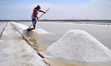 লবণের দাম চড়া, কারণ জানে না বিসিক!