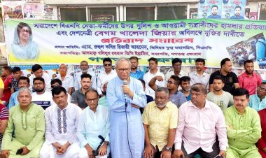 দেশ চোরে গিজ গিজ করছে: রিজভী