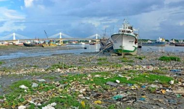 দখল-দূষণে হুমকির মুখে কর্ণফুলীর বিপন্ন প্রজাতির উদ্ভিদ