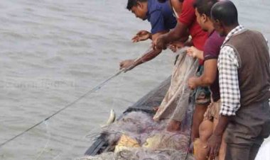 ইলিশ ধরার দায়ে বরিশালে ১৬ জেলে কারাগারে