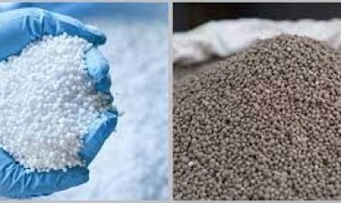  এক লাখ টন ইউরিয়া-ডিএপি সার কেনার সিদ্ধান্ত