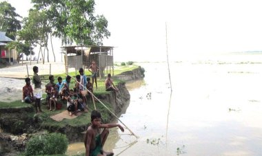 ব্রহ্মপুত্রে ভাঙন: ‘কই যামু, যাওনের জায়গা তো নাই’