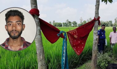 ধানখেতে নিয়ে মোবাইলের আঘাতে অন্তঃসত্ত্বা স্ত্রীকে খুন