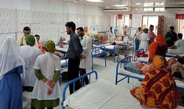 আতঙ্ক ছড়াচ্ছে ডেঙ্গু, হাসপাতালে মশারি ব্যবহার ঢিলেঢালা