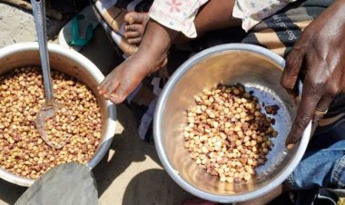দুর্ভিক্ষের শঙ্কা উড়িয়ে দিচ্ছেন না বিশেষজ্ঞরা