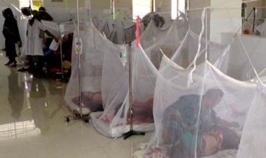 ডেঙ্গু : আট দিনে মৃত্যু ৪৬, আক্রান্ত ৭৫৭৪