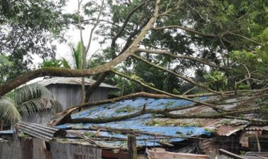বরিশালে ৩ হাজার বাড়িঘর বিধ্বস্ত, মাছ চাষিদের ক্ষতি ৮ কোটি টাকা