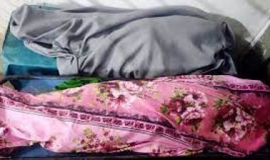 গাছের ডাল কাটা নিয়ে দ্বন্দ্ব, প্রতিবেশীর হামলায় ভাইবোন নিহত