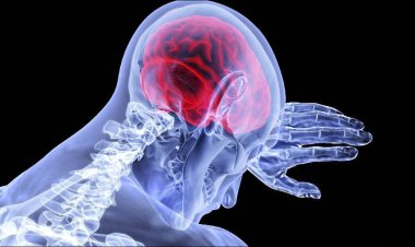 ডায়াবেটিসের রোগীর স্ট্রোক ঝুঁকি দেড় থেকে দুই গুণ