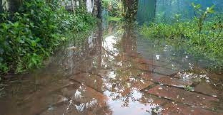 মোংলা বন্দরে ৩ নম্বর সতর্ক সংকেত, ভারি বৃষ্টিতে জলাবদ্ধতা