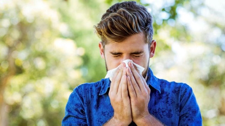 অ্যালার্জি কেন হয়, কীভাবে এড়ানো যায় 