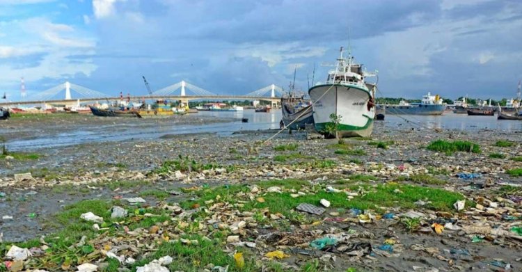 দখল-দূষণে হুমকির মুখে কর্ণফুলীর বিপন্ন প্রজাতির উদ্ভিদ