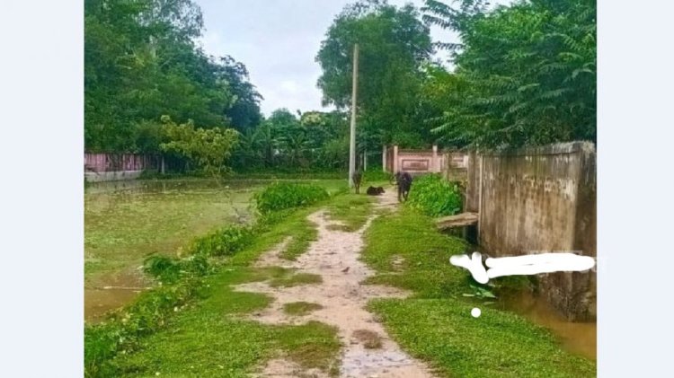 কাজ না করেই ৩৮ প্রকল্পের টাকা লুটপাট