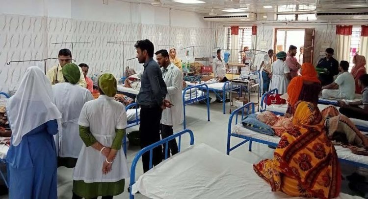 আতঙ্ক ছড়াচ্ছে ডেঙ্গু, হাসপাতালে মশারি ব্যবহার ঢিলেঢালা