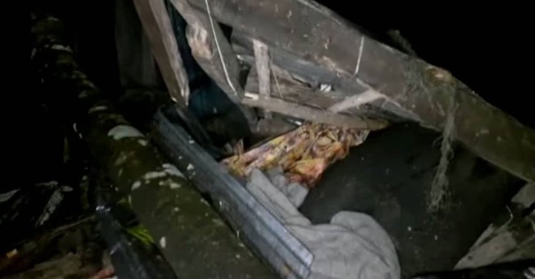 ঘূর্ণিঝড় সিত্রাংয়ে ১৬ জনের মৃত্যু