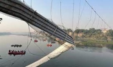  গুজরাটে সেতু ভেঙে পড়ার ঘটনায় ৯ জন গ্রেপ্তার