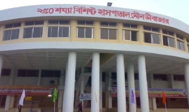 ছোট ভাইয়ের দায়ের কোপে প্রাণ গেল বড় ভাইয়ের