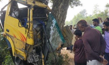 গরু বোঝাই ট্রাক ‍দুর্ঘটনায় নিহত ২