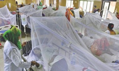 ২৪ ঘণ্টায় ডেঙ্গুতে আরও ৭ জনের মৃত্যু