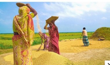 মন্দার শঙ্কা: কৃষকের প্রণোদনা বাড়ানোর নেই ব্যতিক্রমী উদ্যোগ