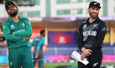 জমজমাট সেমিফাইনাল শুরু আজ, মুখোমুখি পাকিস্তান-নিউজিল্যান্ড