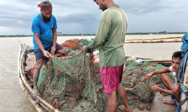 পদ্মায় দেখা মিলছে না ইলিশের, হতাশ জেলেরা