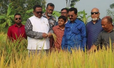 জনগণকে অবৈধভাবে ধান মজুত না করার পরামর্শ খাদ্যমন্ত্রীর