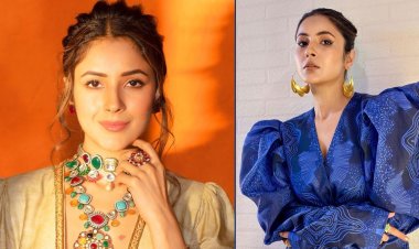 ভারতীয় অভিনেত্রী শেহনাজ গিলের মা পাকিস্তানি!