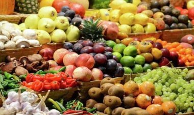 বিশ্বকাপে প্রতিদিন ২৫০ টন খাদ্যপণ্য রপ্তানি ইরানের