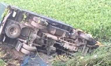 হাটে যাওয়ার পথে ট্রাকচাপায় দুই কৃষক নিহত