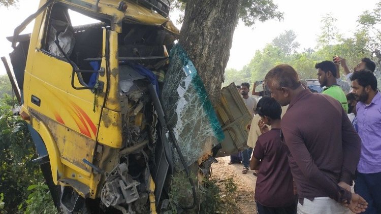 গরু বোঝাই ট্রাক ‍দুর্ঘটনায় নিহত ২