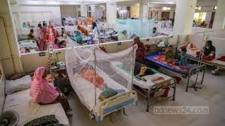 ডেঙ্গুতে এক বছরে রেকর্ড মৃত্যু, বেশি ঝরেছে তরুণ প্রাণ