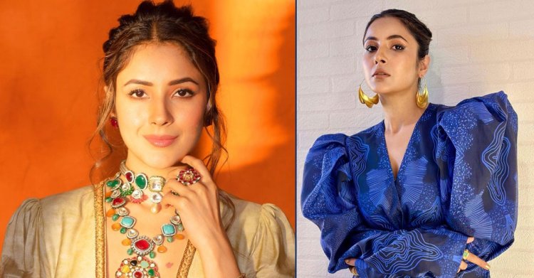 ভারতীয় অভিনেত্রী শেহনাজ গিলের মা পাকিস্তানি!