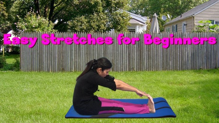  ব্যায়ামের ছবিতে মুগ্ধতা ছড়ালেন ভাবনা