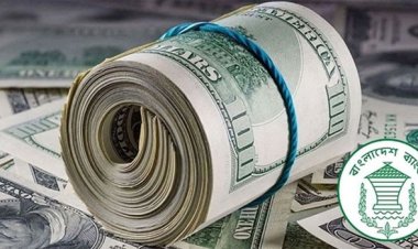 শঙ্কাজনকভাবে কমছে ডলার