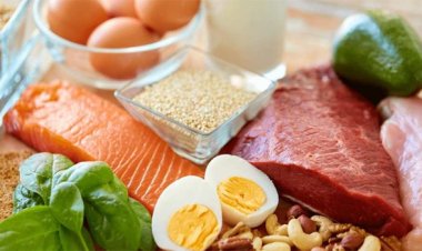 রোজ নির্দিষ্ট পরিমাণে প্রোটিন খাচ্ছেন তো! না হলে কোন বিপদ হতে পারে