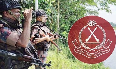 সীমান্তে বিজিবির অভিযান: ২৪ মর্টারশেলসহ ১৩৪ কোটি টাকার চোরাচালান পণ্য জব্দ