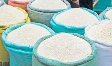 ভরা মৌসুমেও বাড়ছে চালের দাম