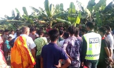 কলার বাগান থেকে ২ ব্যক্তির লাশ উদ্ধার