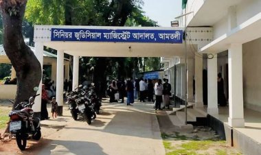 বরগুনায় মিথ্যা মামলা দেওয়ায় বাদীর কারাদণ্ড