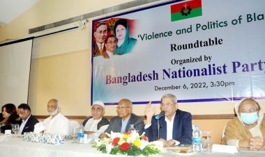 ১০ ডিসেম্বর থেকে মানুষ নতুন স্বপ্ন দেখবে : মির্জা ফখরুল