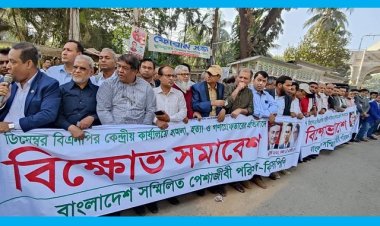 বিএনপির নেতার অভাব নেই, সমাবেশ হবেই: পেশাজীবী পরিষদ