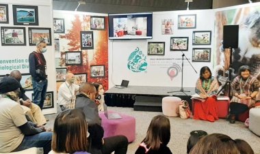 কপ-১৫ সম্মেলন: জীববৈচিত্র্য রক্ষায় অর্থ বরাদ্দ বাড়ানোর আহ্বান