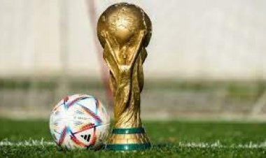  কাতার বিশ্বকাপে কে কত টাকা পাচ্ছে?
