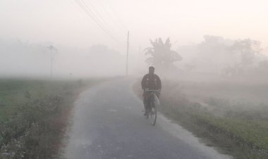 পঞ্চগড়ে দুই দিন ধরে সর্বনিম্ন তাপমাত্রা ১১.৮